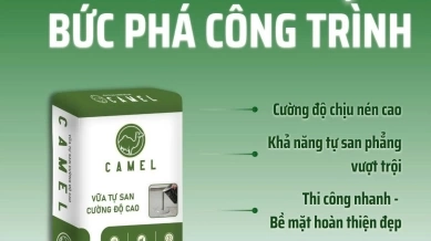 Vữa Tự San Camel Có Những Ưu Điểm Gì?