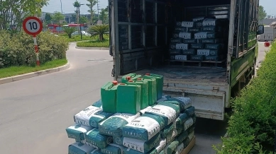 Vữa Tự San Cho Nhà Xưởng Nên Chọn Loại Nào?