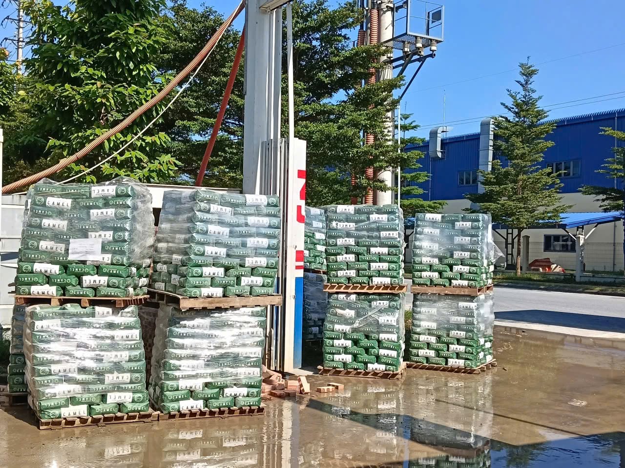 Tiêu Chuẩn Chuẩn Bị Cốt Nền Trước Khi Đổ Vữa San Phẳng