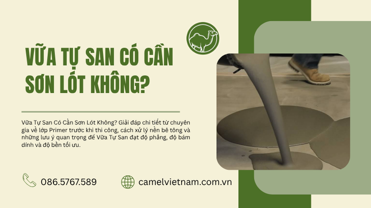 Vữa Tự San Có Cần Sơn Lót Không? Giải Đáp Chi Tiết Trước Khi Thi Công